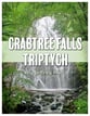 Crabtree Falls Triptych P.O.D cover